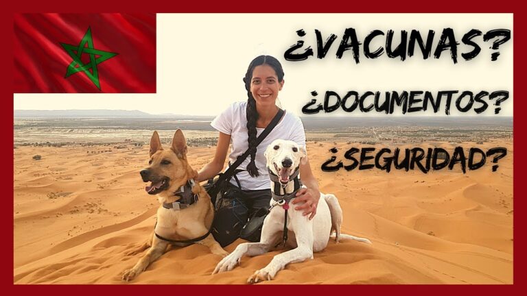 Requisitos: ¿Cuántas vacunas necesito para viajar a Marruecos?